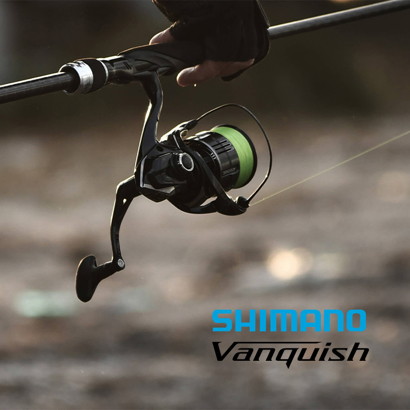 Shimano 23 Vanquish Origin Fis - đánh giá và giá Shimano Reel Stradic