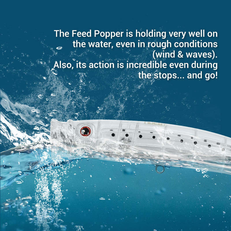 Noeby-Feed Popper Fishing Lure - đánh giá và giá Fishing Lure Popper