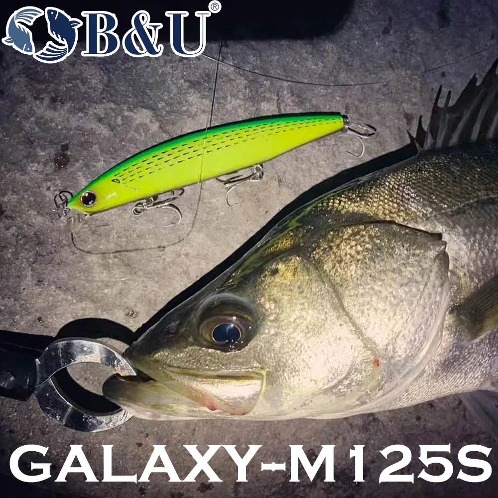 B&U 125mm Sinking Minnow Sea F - đánh giá và giá Fishing Lure Jerkbait